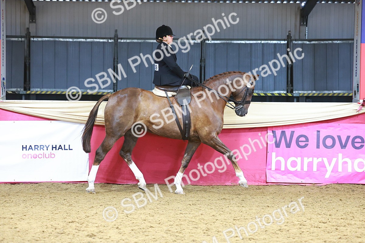 SBM_12419 - Class 103 - HOYS Veteran Qualifier - Ridden Pre Vet