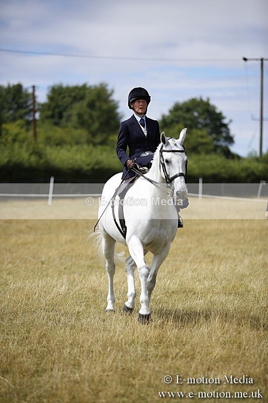 _C7A0272 - Side Saddle Classes BVRC Show 2018