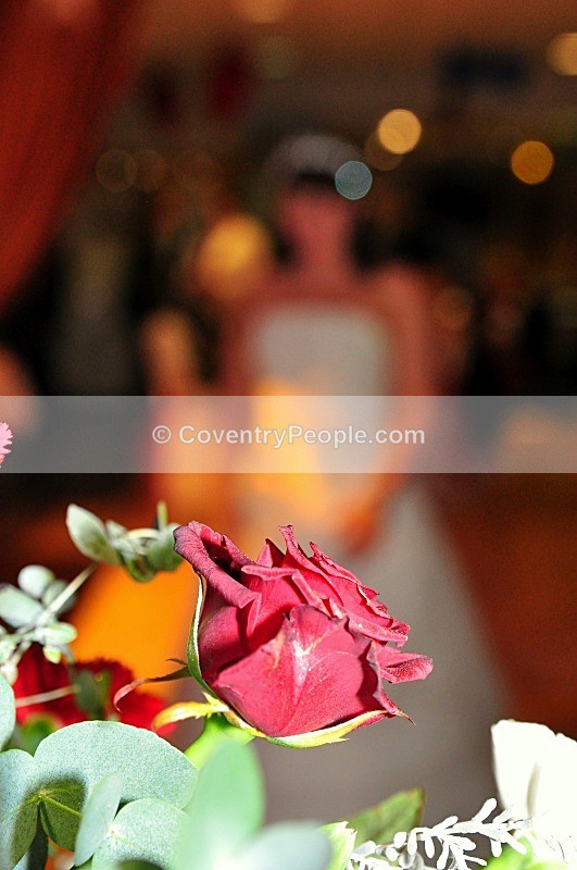 DSC_2358 - Wedding Favourites