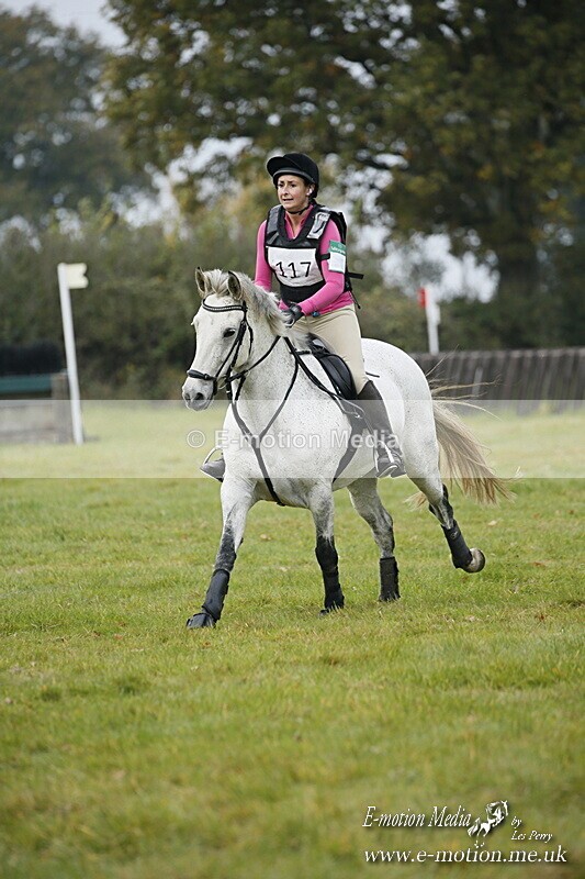 WWHT 181020 WWHT 181020 584 - WWEC Open Novice (0.80m) 18/10/20