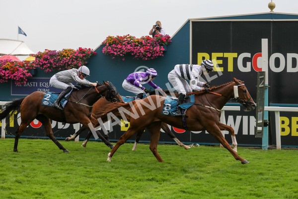 100923-Race 7-Looking For Lynda-4036 - Race 7 4.55pm Brian Taylor 50 Not Out Apprentice Handicap