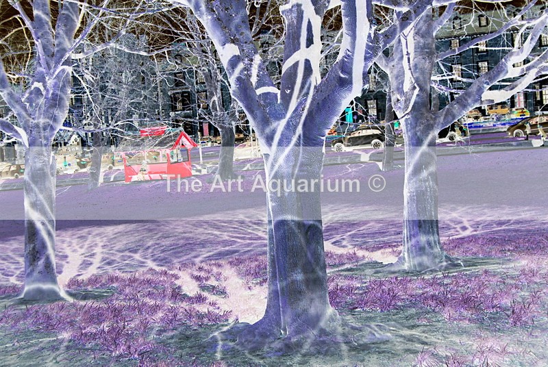 The Art Aquarium - Rachael Inchboard
