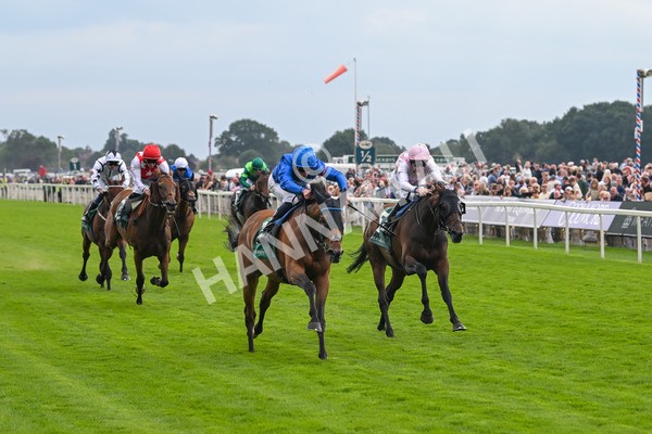 220825-Race 2-Trawlerman-7061 - Race 2 2.25pm Weatherbys Lonsdale Cup Stakes