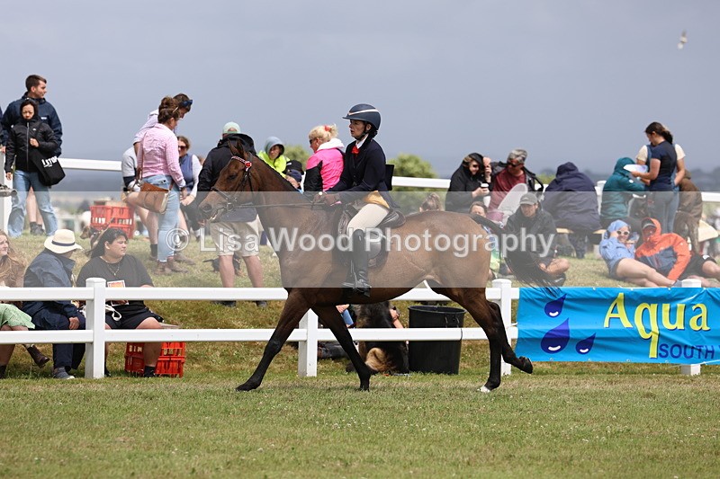 3E7A2369 - Class 11: Retraining of Racehorse