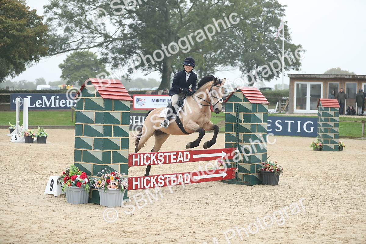 SBM_74201 - Supreme championship Junior Pony 70cm 75cm