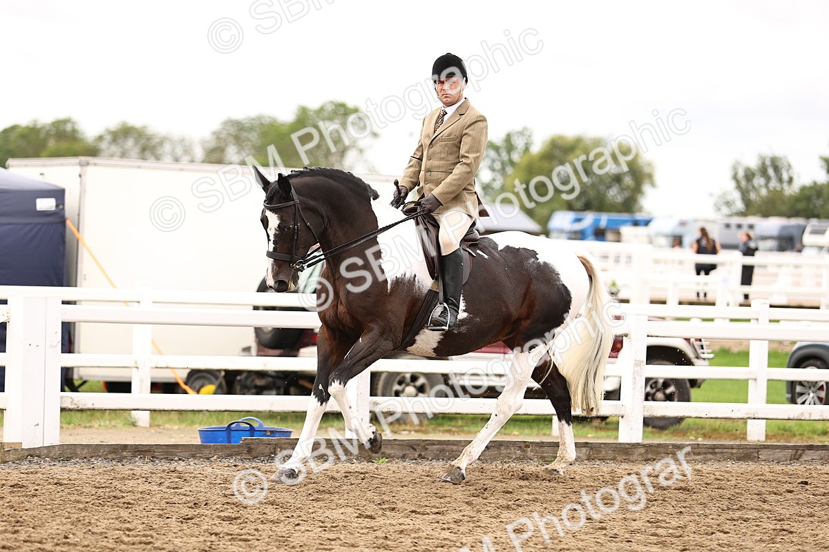 SBM_01382 - Class 54 - Riding Club Horse Pony