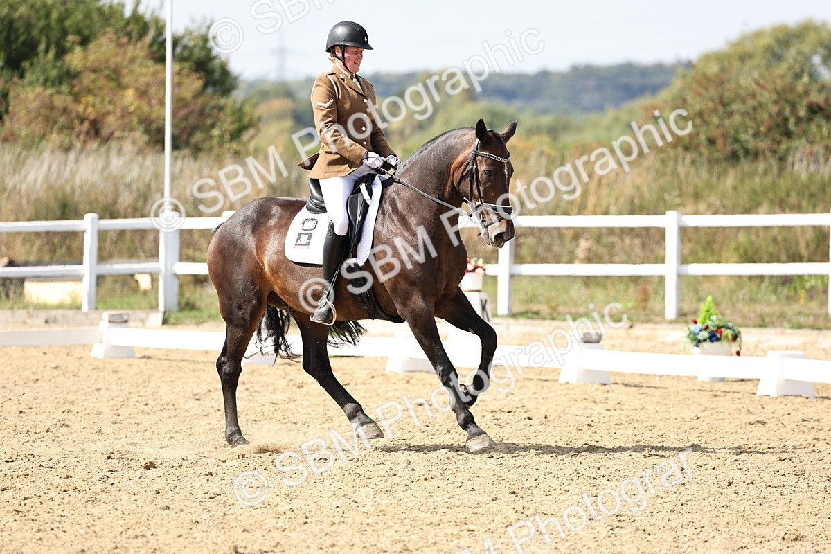 SBM_014904 - Class 7 - Medium 3