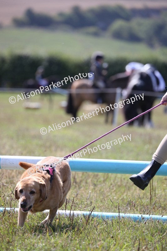 20260906-1613 - Class 10 - Horse & Hound