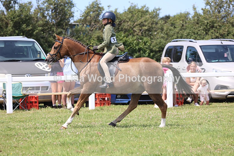 JPP_2673 - Class 21: Working Hunter 60cm