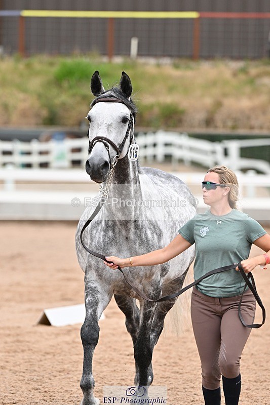 250716-143642-01244 - Trot Up 2.30 to 3.30