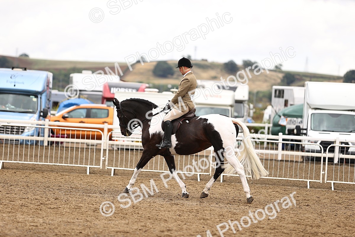 SBM_00645 - Class 53 - Ridden Competition Horse Pony