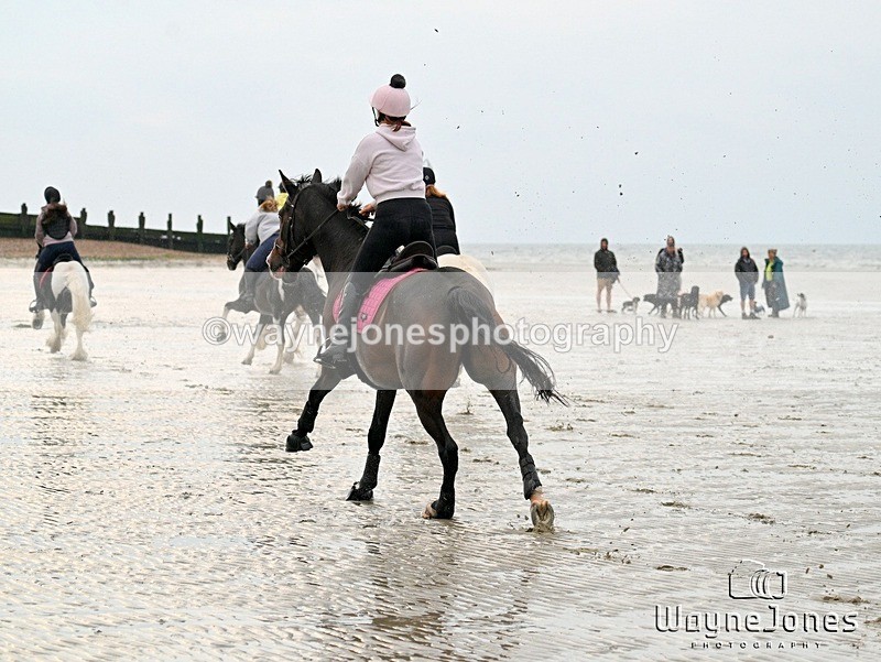 WJ7_9174 - Hayling Island Beach Shoot 22-09-24