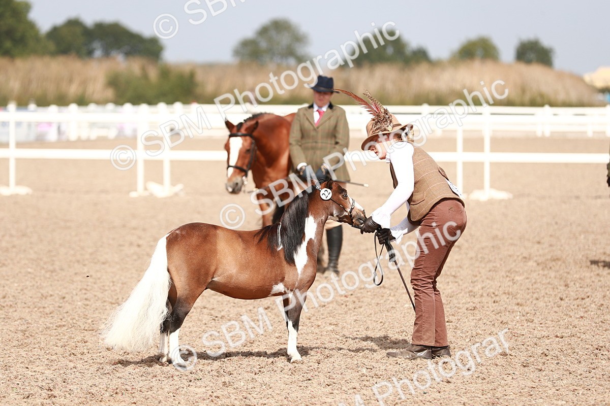 SBM_13937 - Class 209 IH Veteran Pony