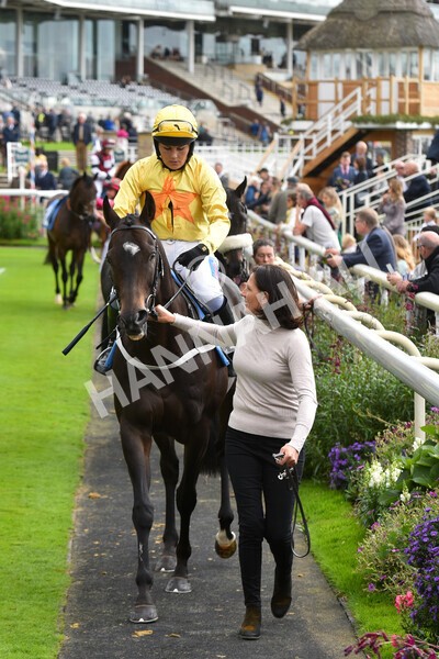 yr24092021r1-67 - Race 1 1.10pm Ernest Cooper Macmillan Ride of Their Lives