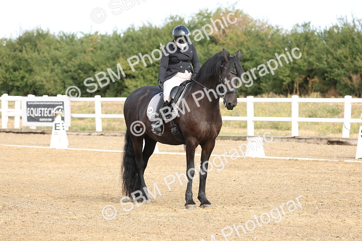 SBM_008271