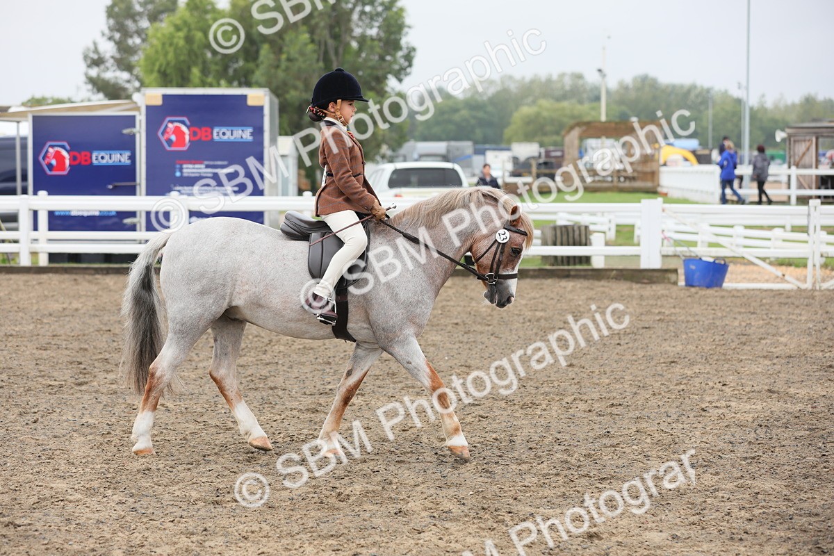 SBM_21806 - Class 806 - Young ridder 10 Yr & Under