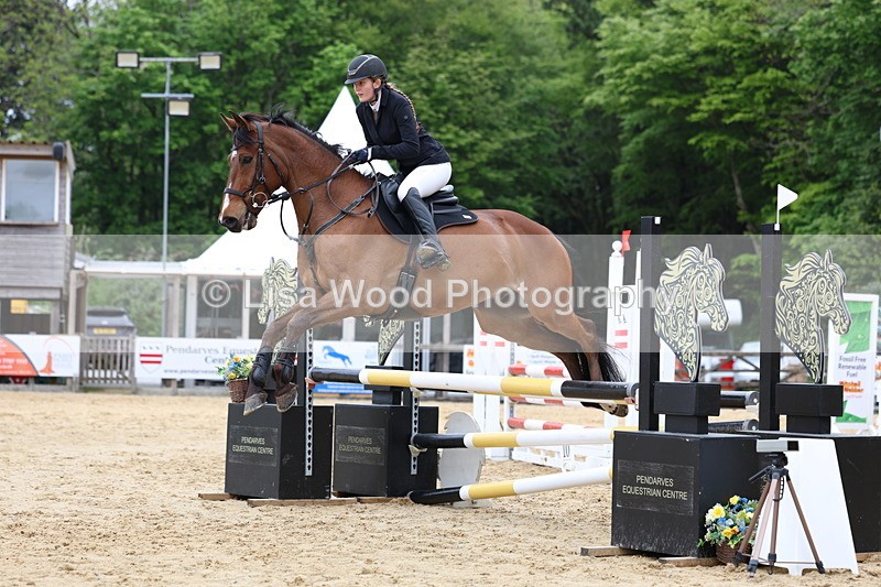 3E7A6044 - Class 4: Senior British Novice/90cm open