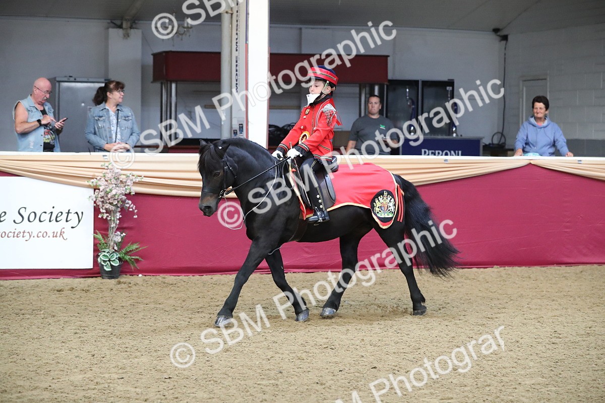 SBM_11311 - Class 104 Ridden Costume - Astride Junior