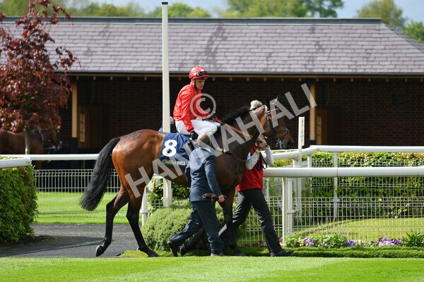 yr22052021r4-47 - Race 4 3.50pm WilliamHill.com Best Odds Guaranteed Stakes