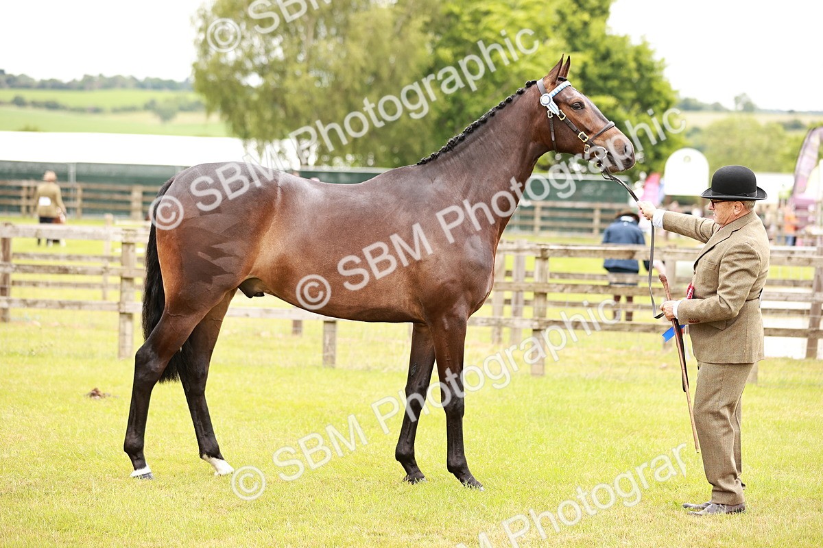 SBM_04789 - Class 35-38 Riding Horse Breeding