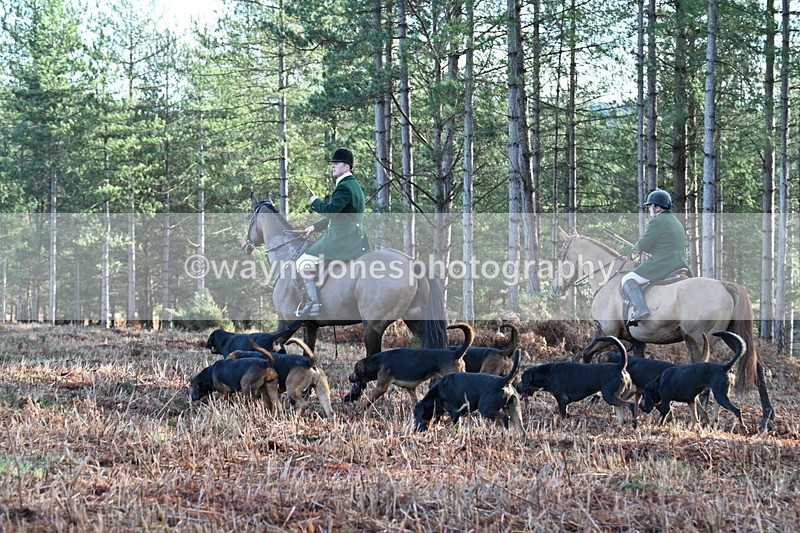 WJ7_7196 - Line 3 (no line 4 or 5)