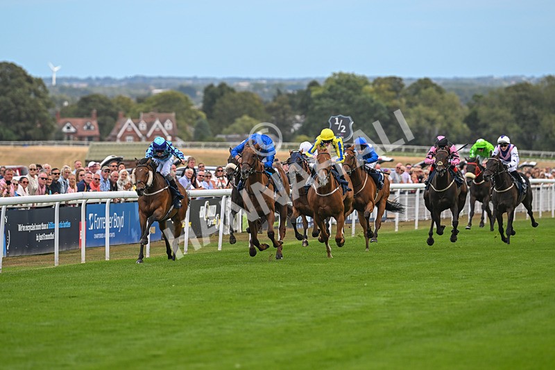 300825-Race 1-Spioradalta-0050 - Race 1