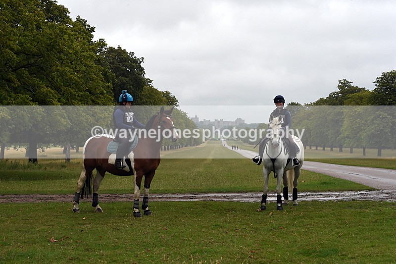 TT3_8123 - Time at Crossing 09:15 to 10:15