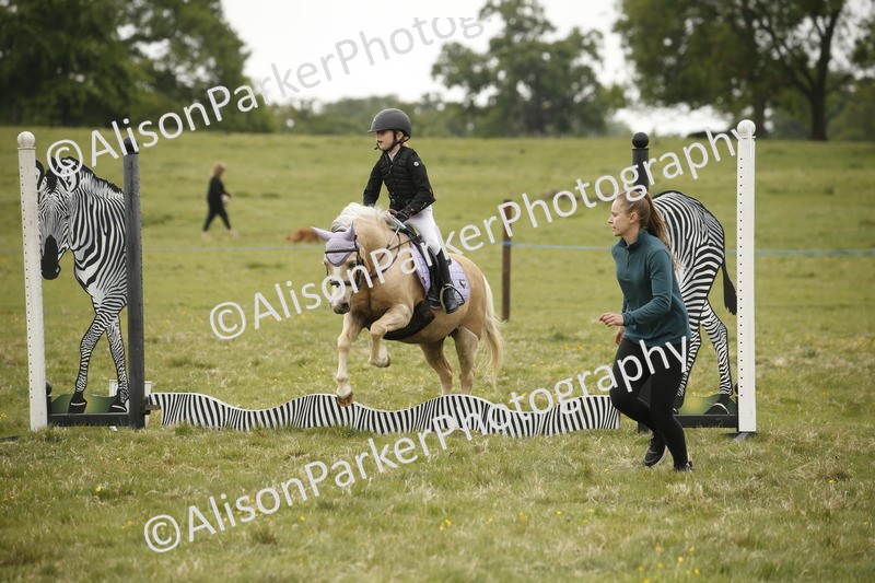 20250517-0923 - Class 2 - 30cm Off Lead Rein