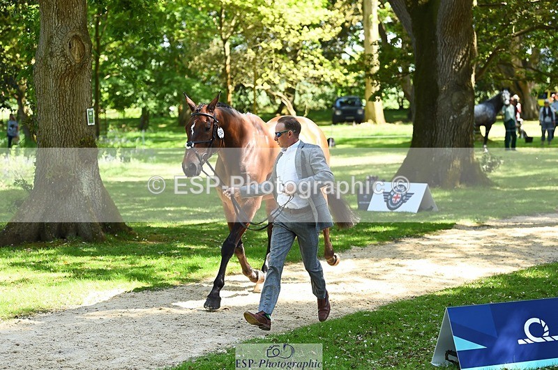 230524-151148-00121 - 354-TREWORDER-Michael_Owen-WEDTrotUp+DR