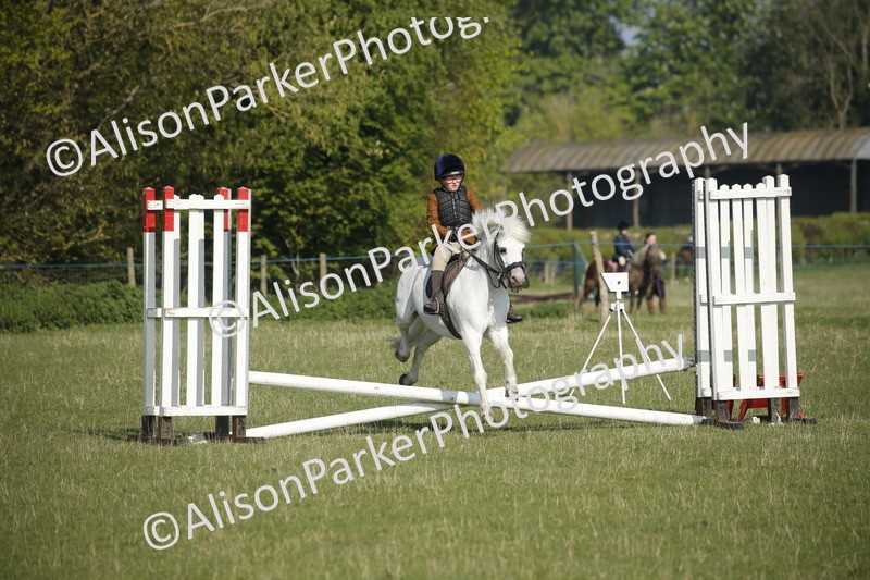 20250427-0296 - Class 12 - Rookie Jumping 40cm