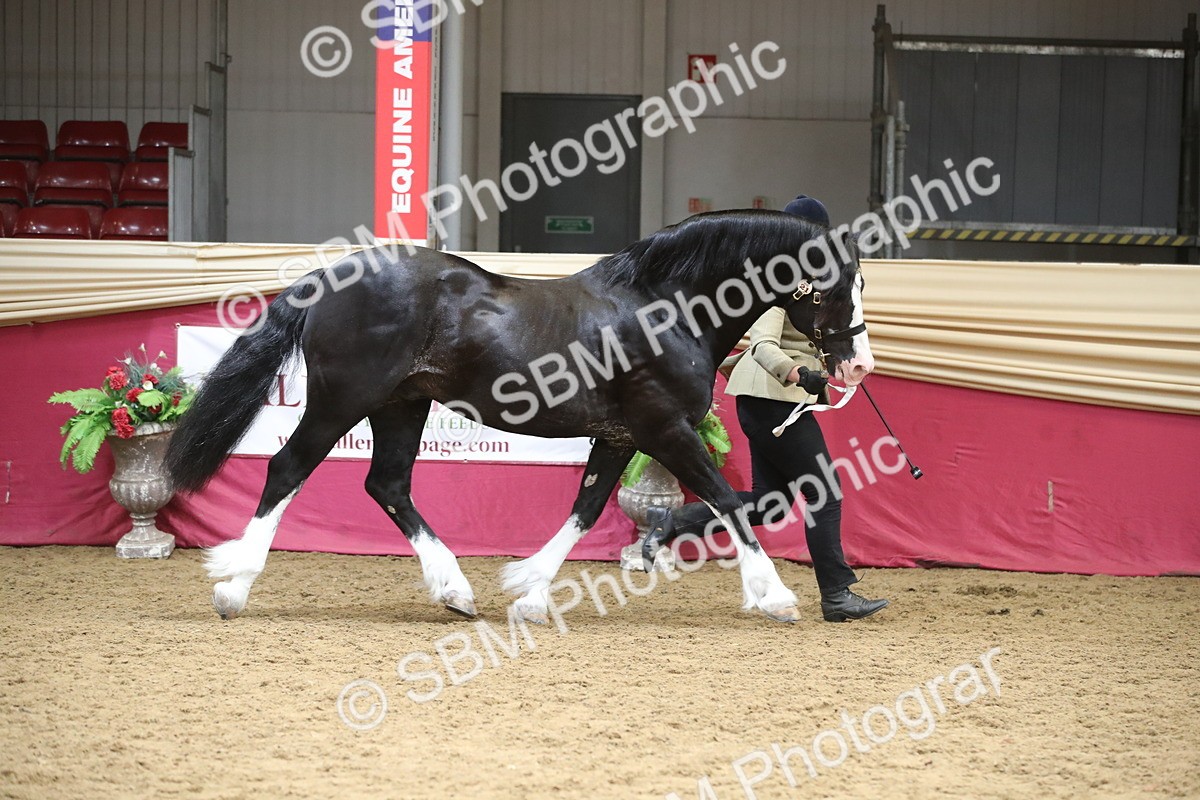 SBM_05273 - Class 8R - Regional IH Veteran