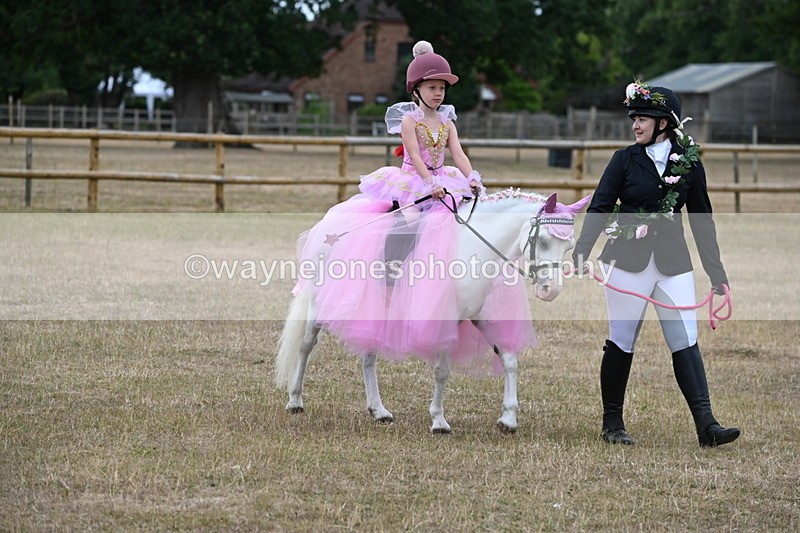 WJ6_8620 - Class 11 Fancy Dress