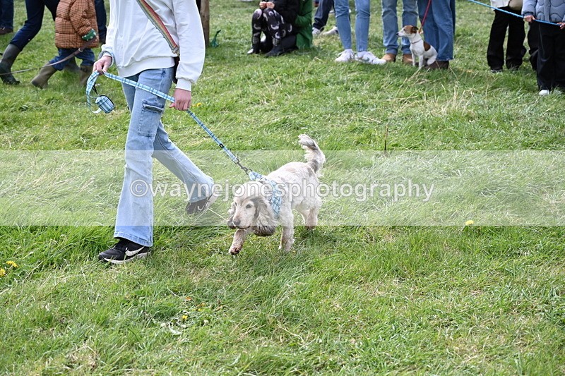 WJ6_8292 - Class 4 Prettiest Bitch