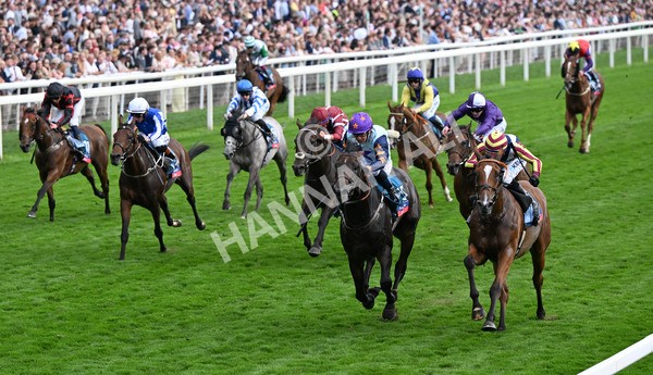 230825-279 Dain Ma Nut In - Race 7 5.20pm Sky Bet Steve Birch Finale Handicap