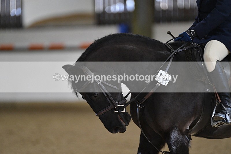 WJ5_7174 - Class 2 Intro Test 2