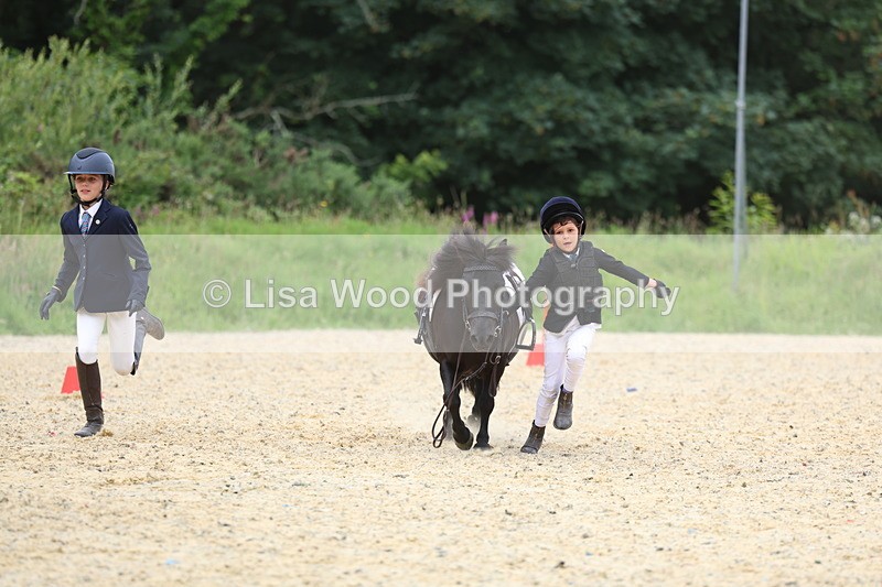 3E7A9526 - Walk trot run