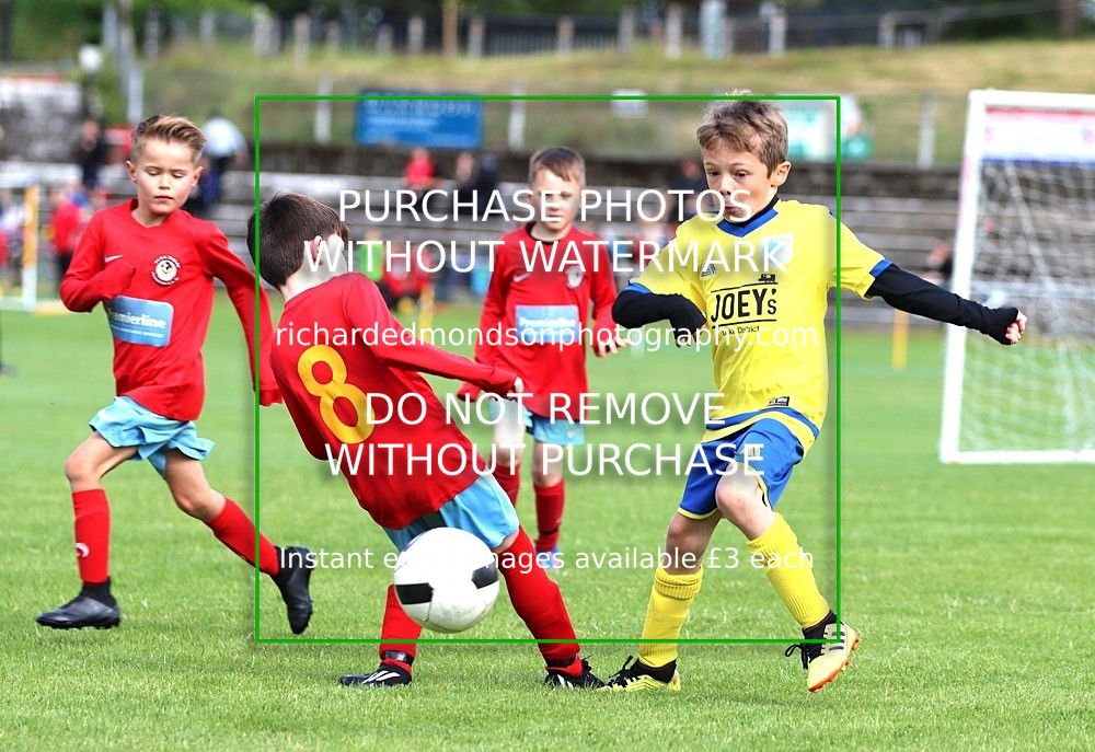 IMG_7042 - Kendal United Under 8's