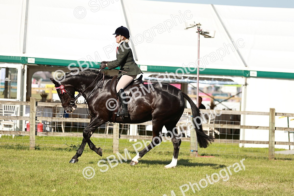 SBM_19239 - Class 115-116 - LIHS BSHA Rising Star Working Hunter & Show Horse