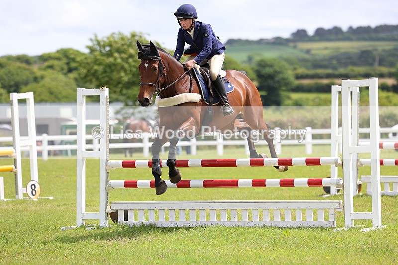 3E7A7392 - Class 13: Senior British Novice/90cm open