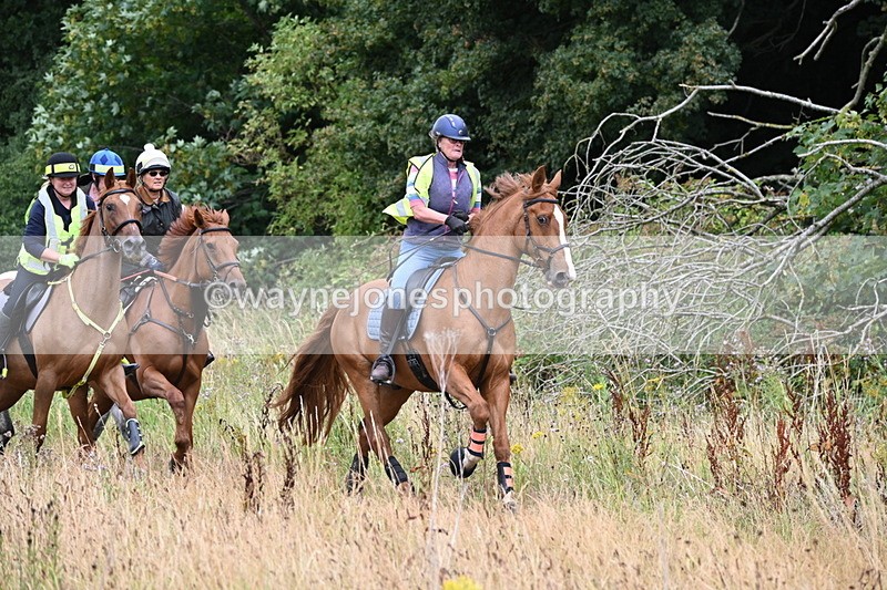 WJ6_2338 - Group 7