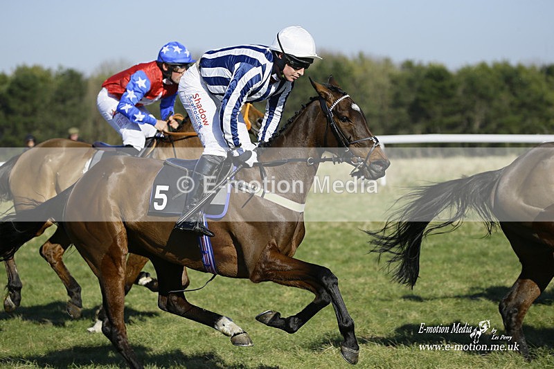 PtP 270222 65 - South & West Wilts Point-to-Point Larkhill 27/02/22