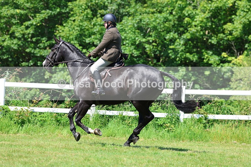3E7A7021 - Class 30: Novice Working Hunter