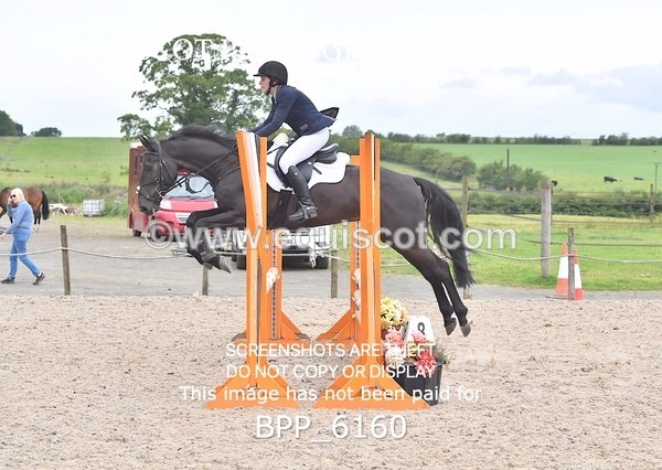 BPP_6160 - CLASS 2 Club/ Unaffiliated 80cms Open