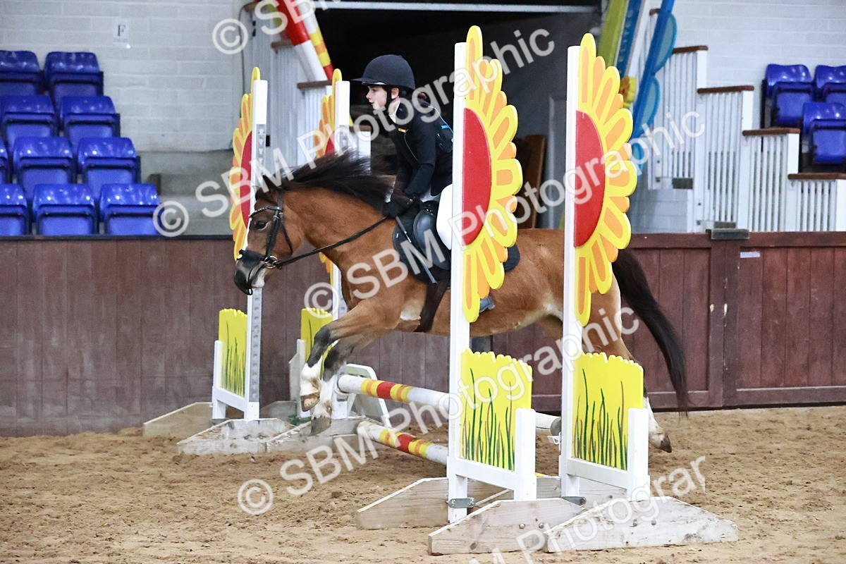 SBM_000631 - Class 2 - Show Jumping 50cm
