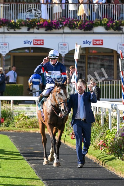 240824-Race 7-Sir Busker-2034 - Race 7 5.20pm Sky Bet Finale Handicap