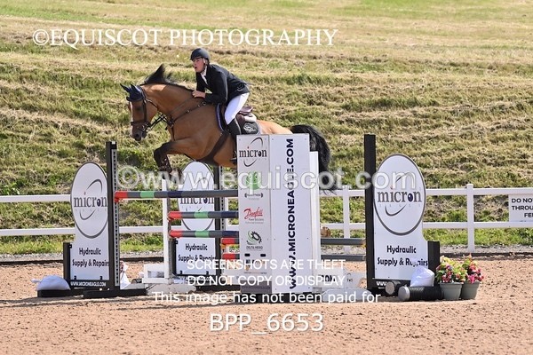 BPP_6653 - CLASS 13 FRI HOYS Talent Seeker Qualifier Inc 7 Year Old Horse Championship Qualifier