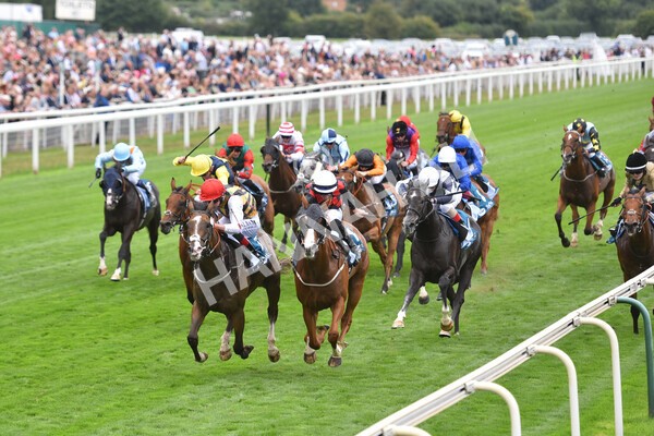 yr18082022r3-34 - Race 3 3.00pm Clipper Logistics Stakes