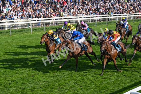 220825-Race 7-Fifth Column-7853 - Race 7 5.20pm Sky Bet Mile Handicap