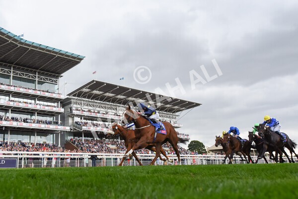 yr18082022r1-31 - Race 1 1.50pm Sky Bet Lowther Stakes