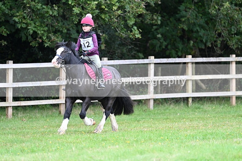 WJ7_7295 - 40cm Time 10:06 to 10:24